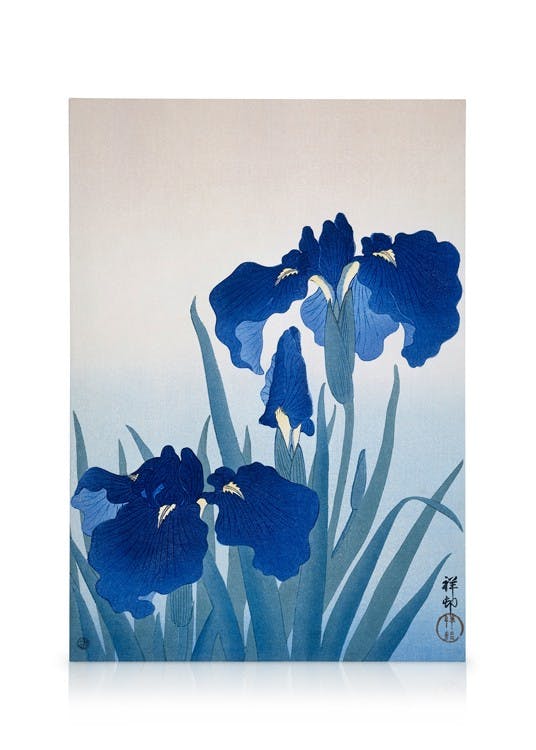 Canvas Prints Ohara Koson - Iris Flowers Canvas print (30x40 cm - Black Frame)