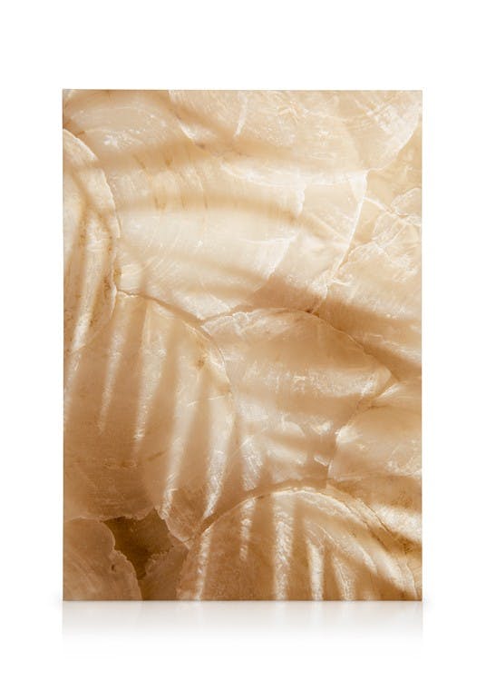 Canvas Prints Palm Leaf Reflection Canvas print (30x40 cm)