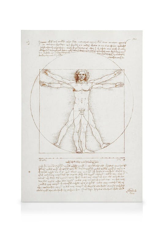 Canvastavlor Leonardo Da Vinci - Vitruvian Man Canvastavla (50x70 cm - Svart ram)