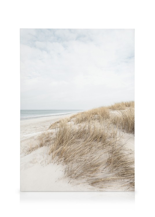 Cape Cod Dunes Tableau sur toile Plage de sable beige Desenio.ca