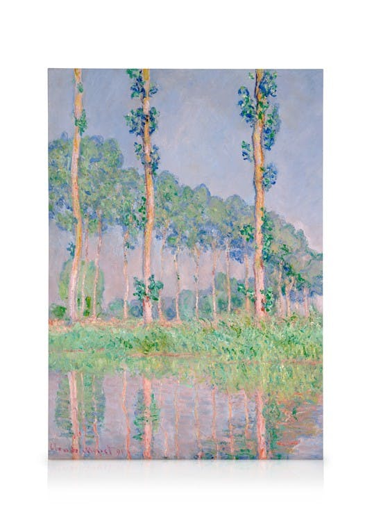 Monet - Poplars, Pink Effect Toile (50x70 cm - Cadre de chêne) - Toiles
