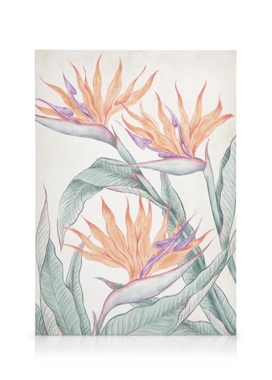 Canvas Prints Birds of Paradise Painting Canvas print (50x70 cm - Black Frame)