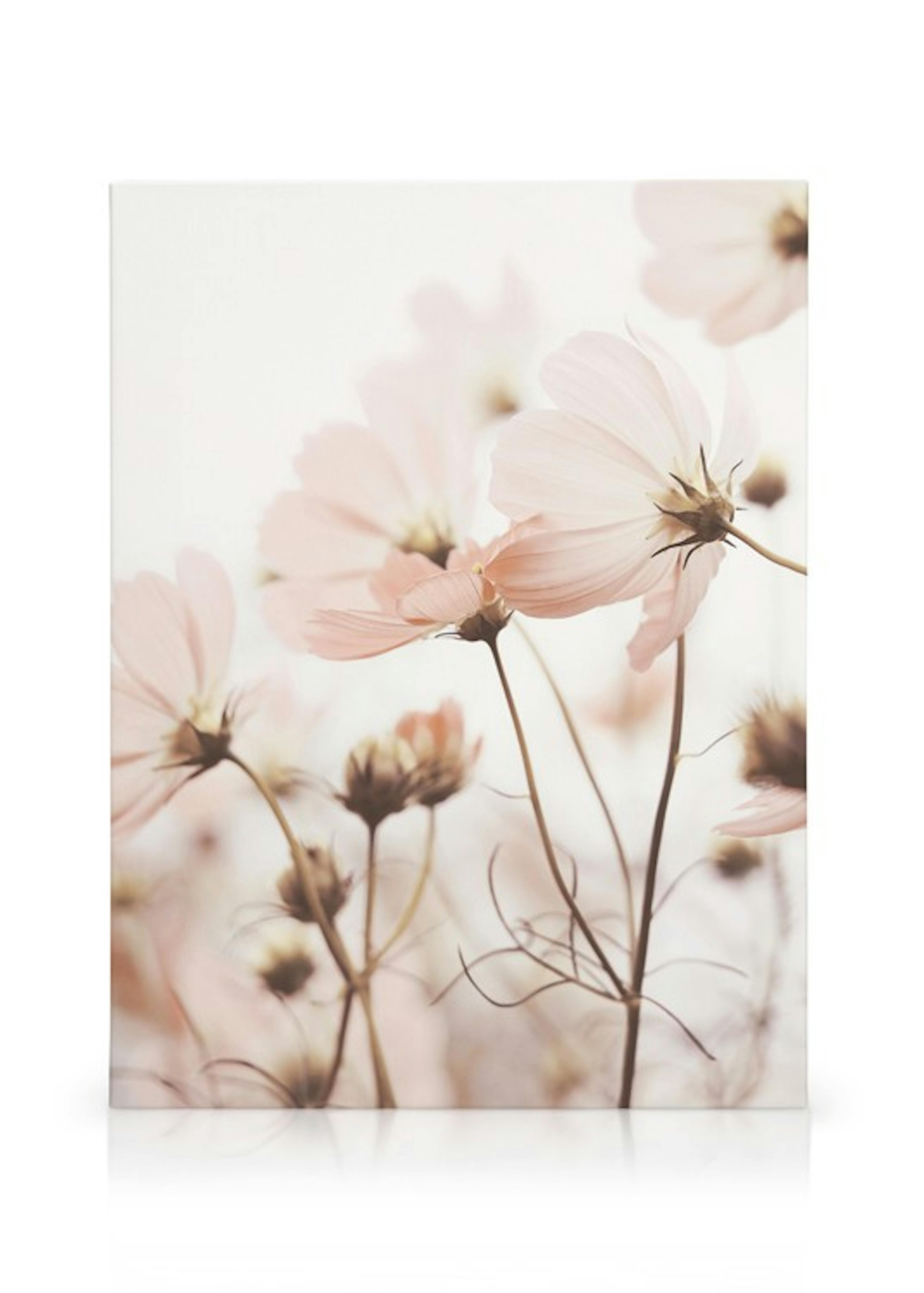 Product image: 1