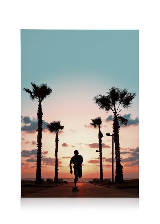 Canvas Prints Sunset Skate Canvas print (50x70 cm - Oak Frame)
