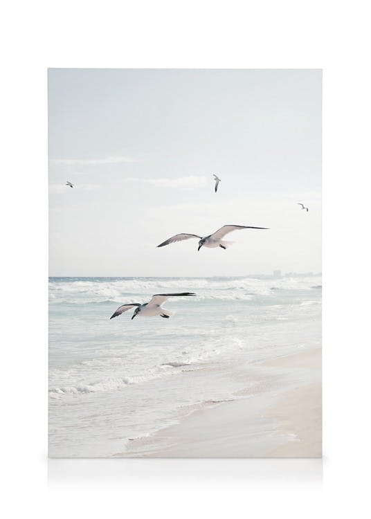 Canvastavlor Seagulls over the Ocean Canvastavla (30x40 cm - Svart ram)