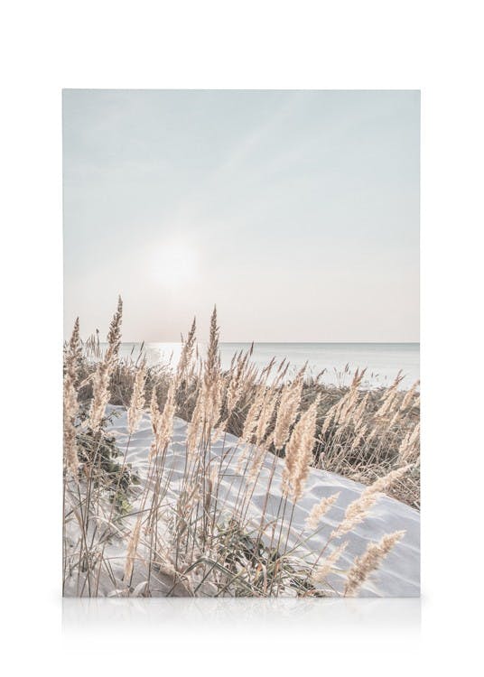 Obrazy na płótnie White Sand Coast Obraz na płótnie (50x70 cm - Czarna ramka)
