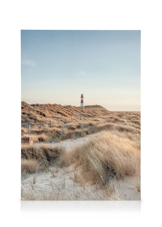 Obrazy na płótnie Lighthouse Beach No1 Obraz na płótnie (50x70 cm - Czarna ramka)