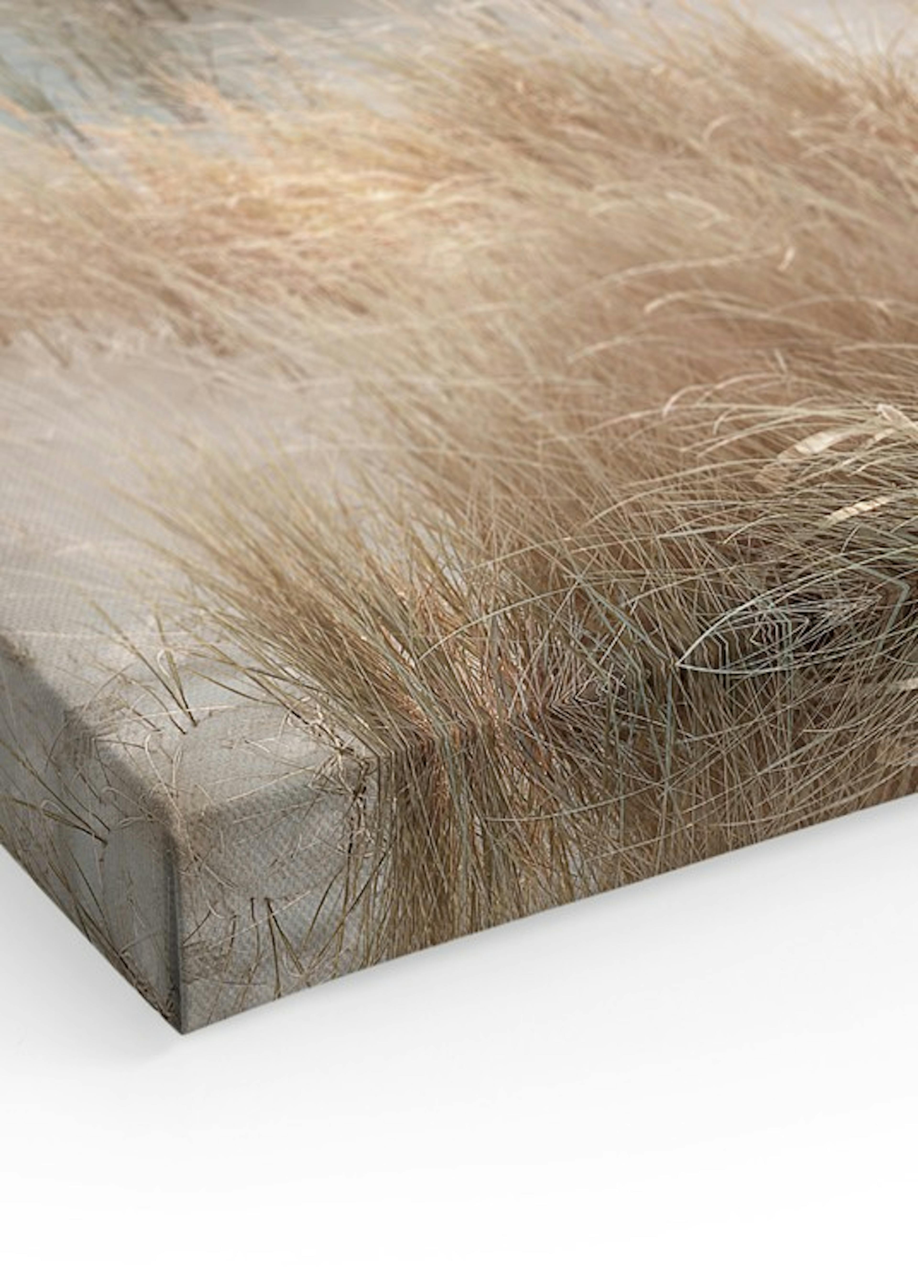 Product image: 3