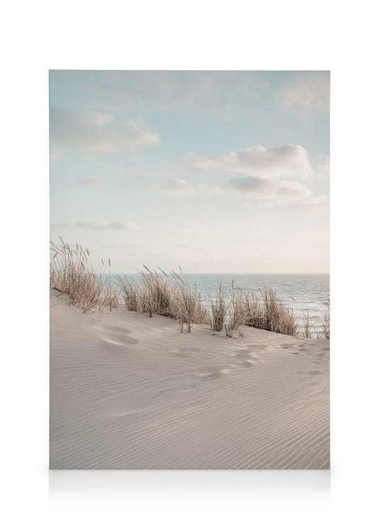 Canvas Prints Dune Beach No1 Canvas print (50x70 cm - Oak Frame)