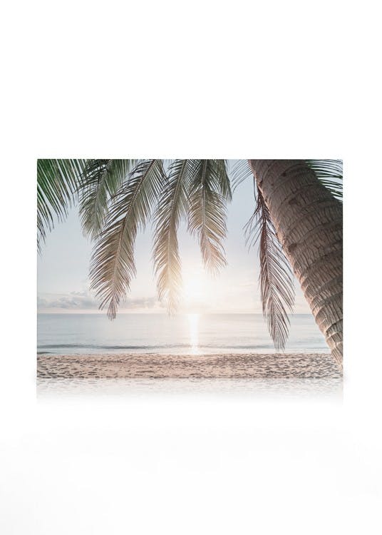 Canvas Prints Tropical Beach Sunset Canvas print (30x40 cm - Black Frame)