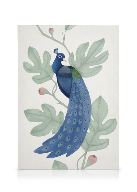 Telas decorativas Vintage Blue Peacock Quadro em tela (30x40 cm - Moldura de Carvalho)
