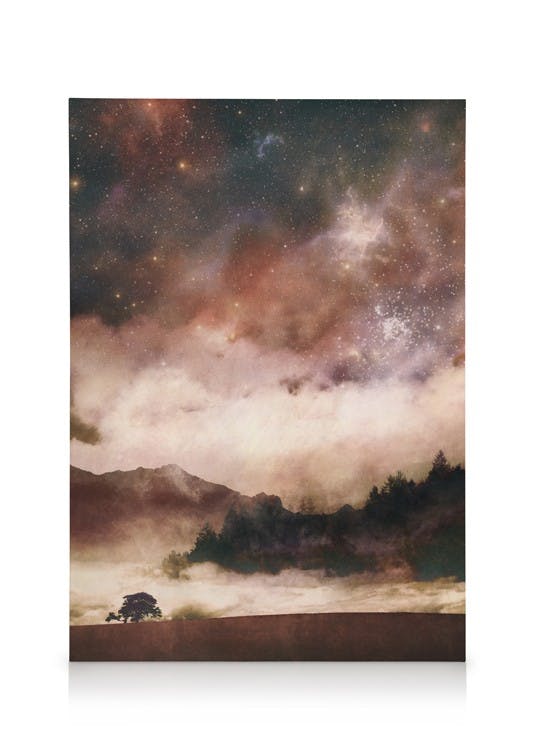 Obrazy na płótnie SpaceFrog Designs - Stellar Obraz na płótnie (30x40 cm - Ramka dębowa)