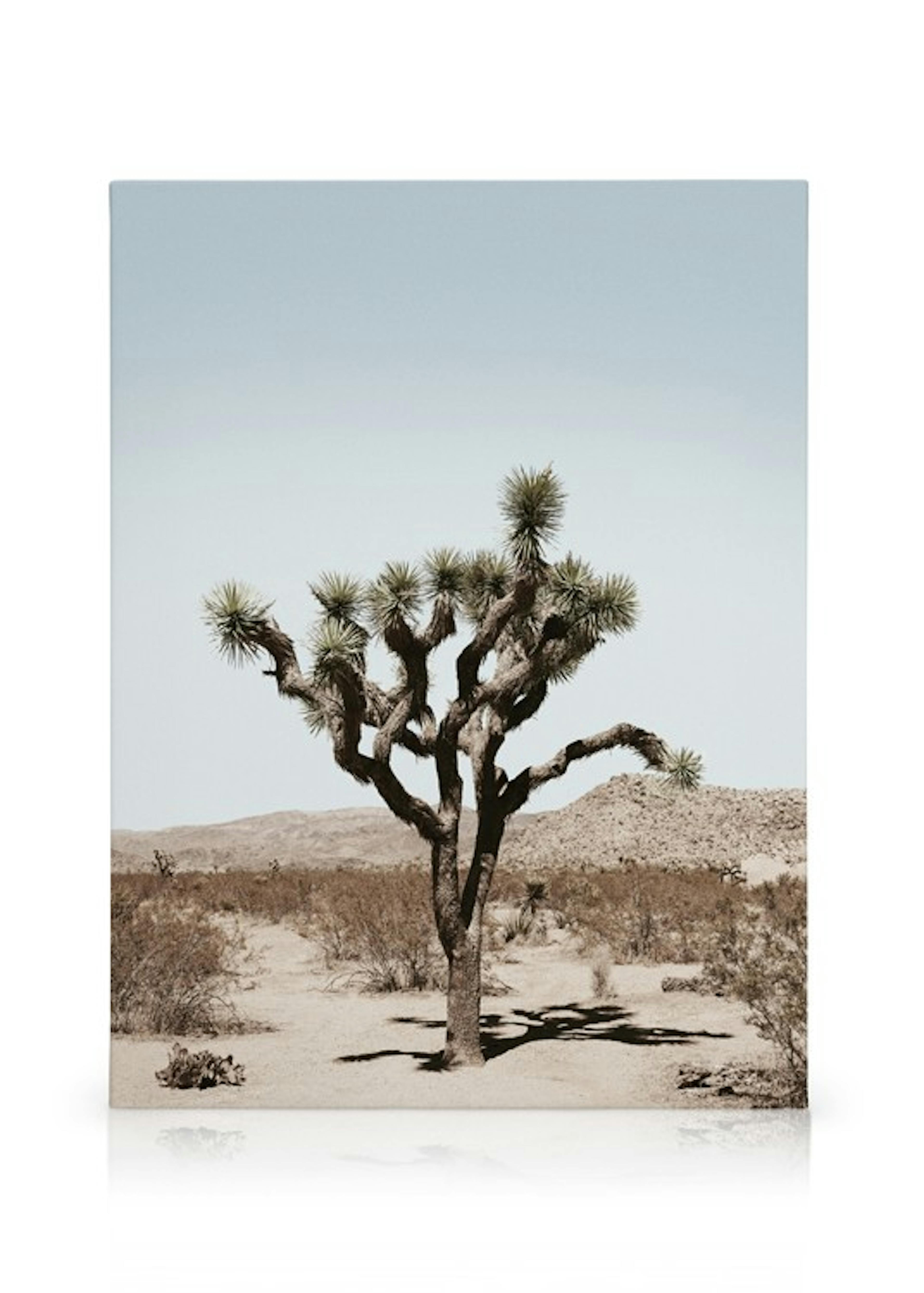 Product image: 1
