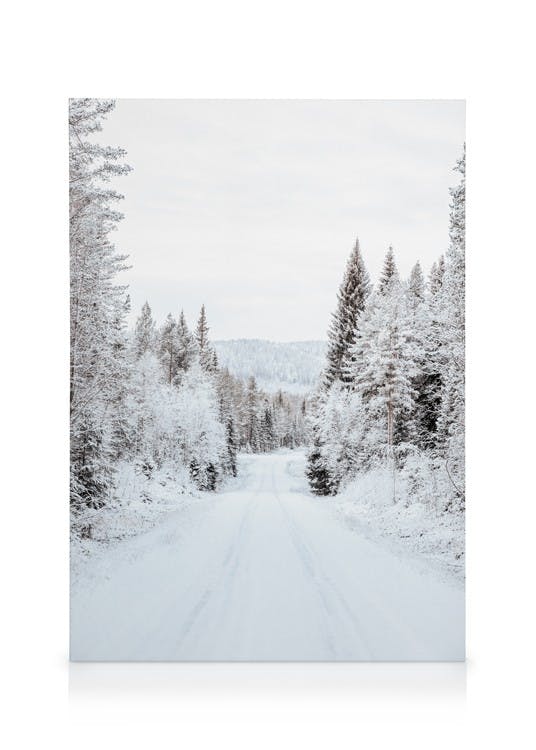 Canvas Prints Snowy Forest Road Canvas print (30x40 cm)