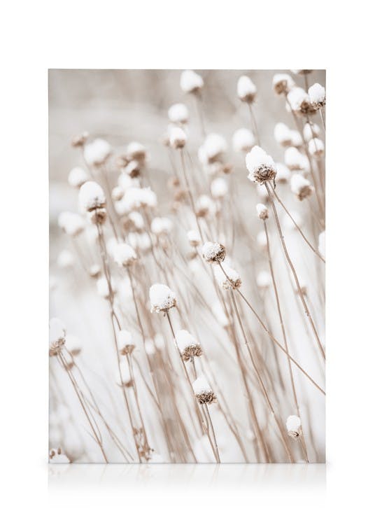 Canvas Prints Snow Covered Flowers Canvas print (30x40 cm - Oak Frame)