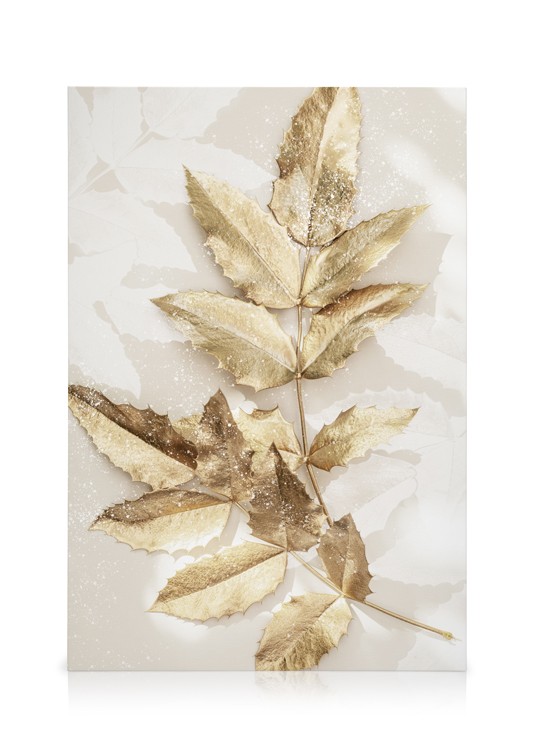 Toile - Golden Beauty