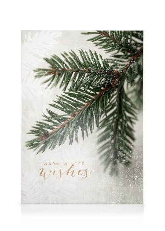 Canvas Schilderijen Spruce Branch Canvas (30x40 cm - Fotolijst Eiken)