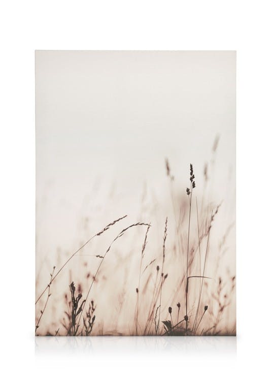 Canvas Prints Morning Field Canvas print (30x40 cm)