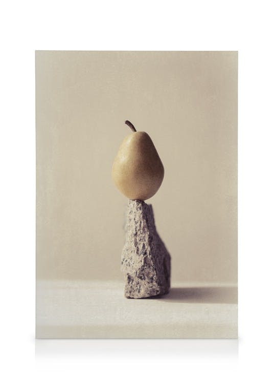 Obrazy na płótnie Still Life Pear No2 Obraz na płótnie (50x70 cm - Czarna ramka)