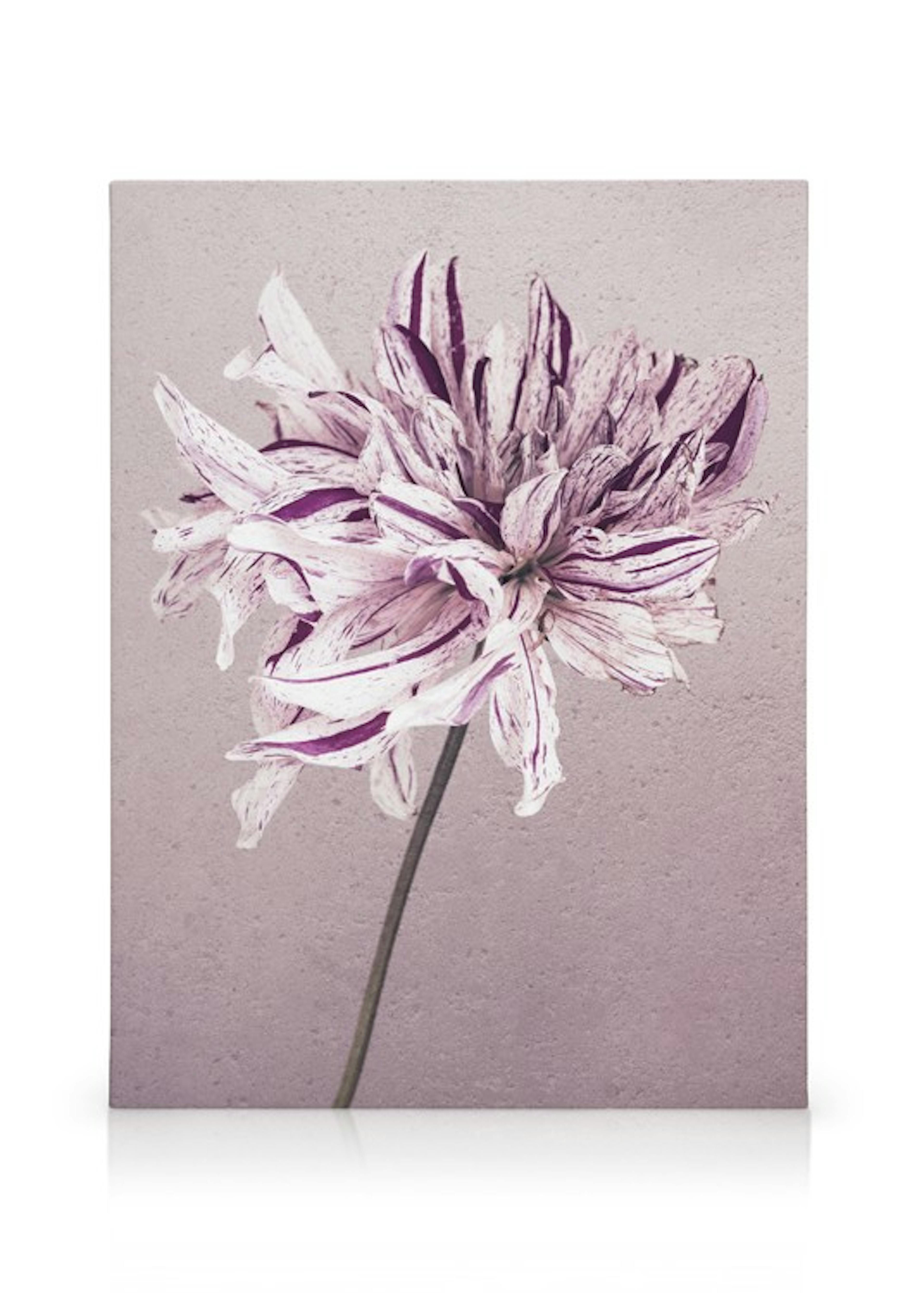 Product image: 1