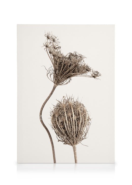 Obrazy na płótnie Boho Flowers Obraz na płótnie (50x70 cm - Ramka dębowa)