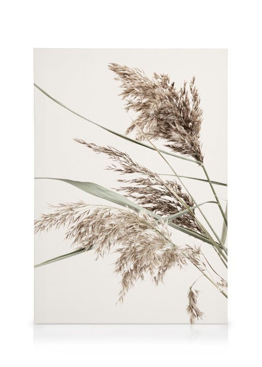 Boho Grass Obraz na plátne (50x70 cm - Čierny rám)