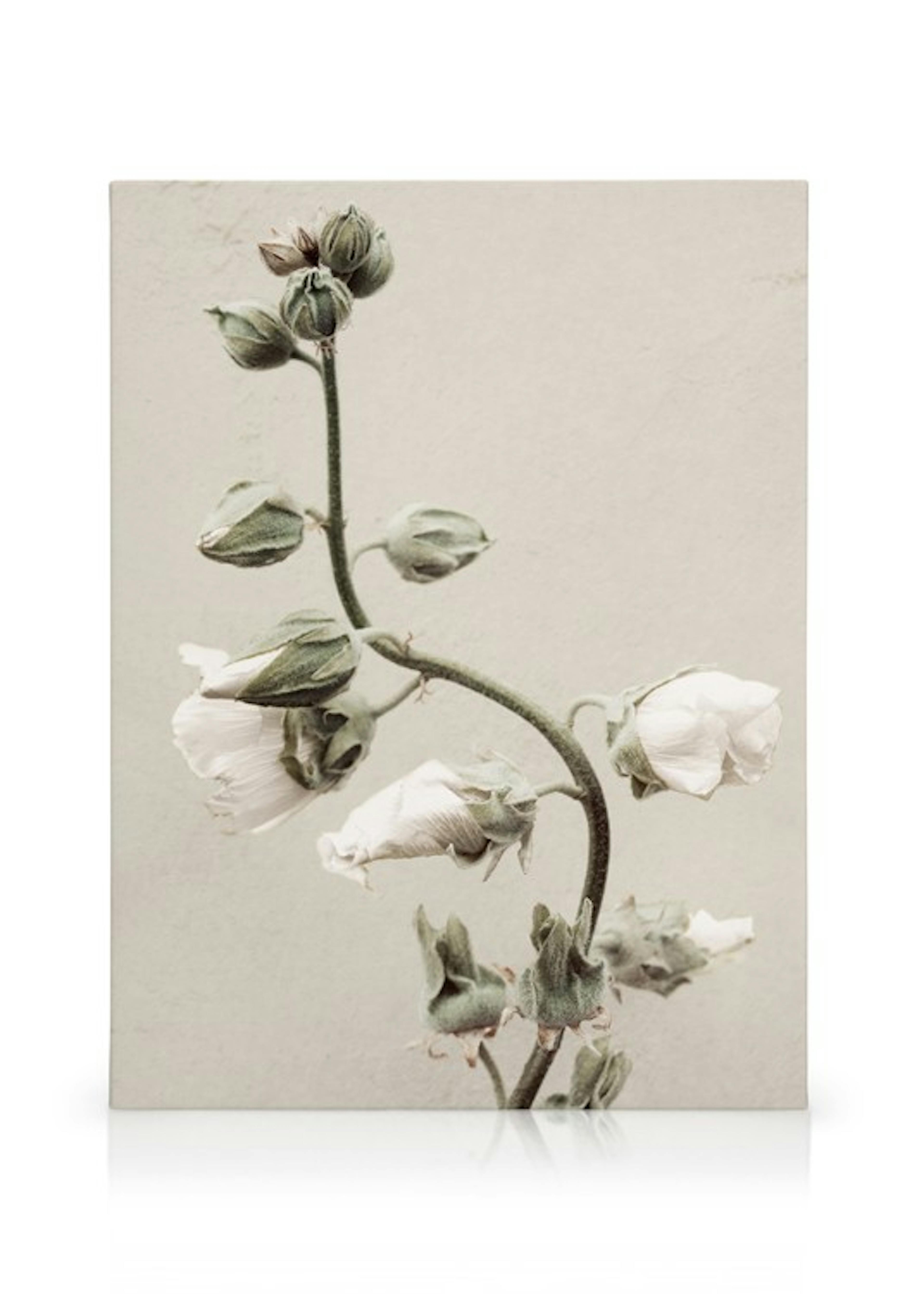 Product image: 1
