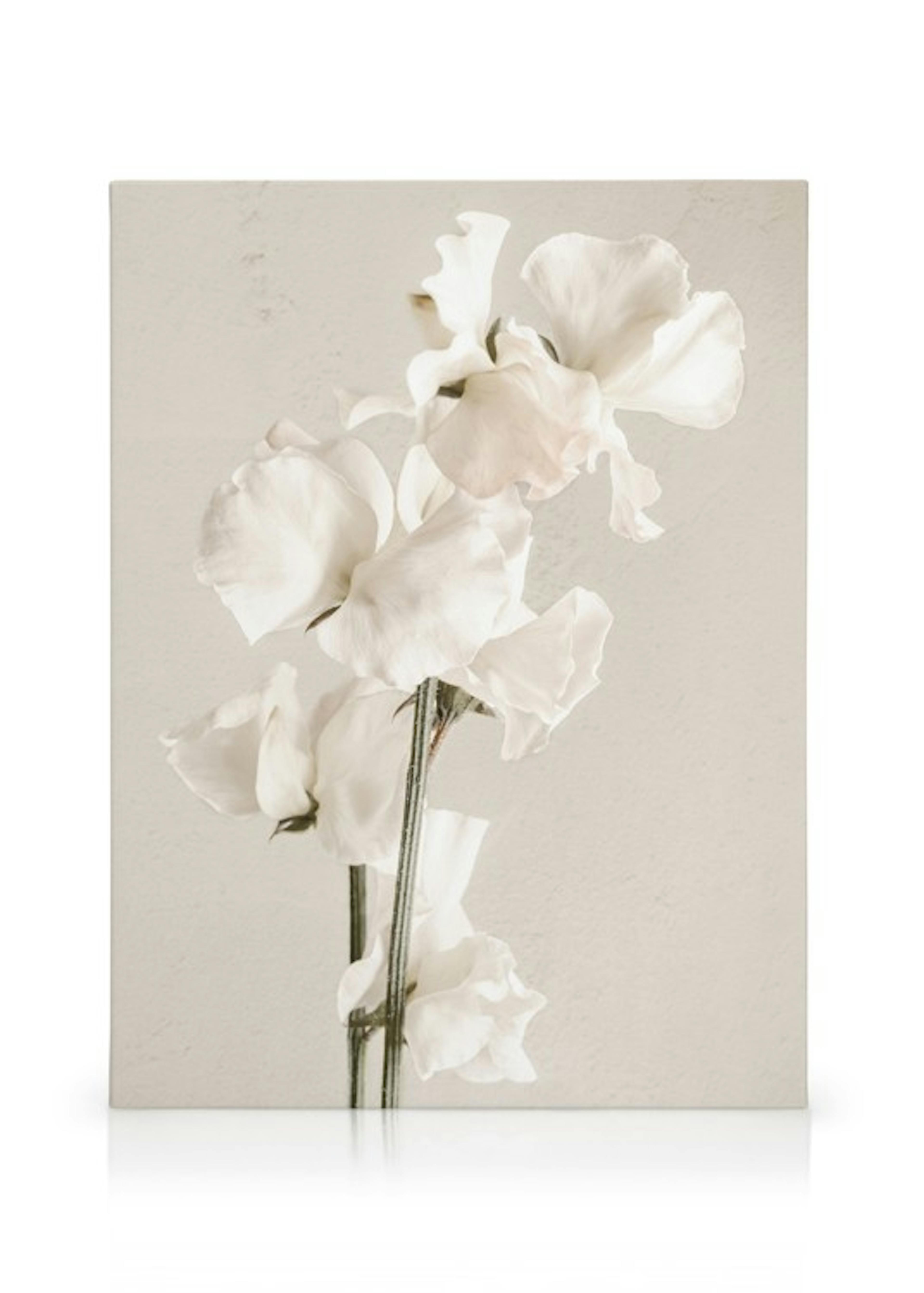 Product image: 1
