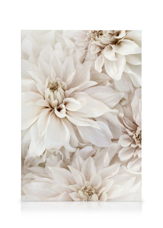 Obrazy na płótnie White Blossom No2 Obraz na płótnie (30x40 cm - Ramka dębowa)