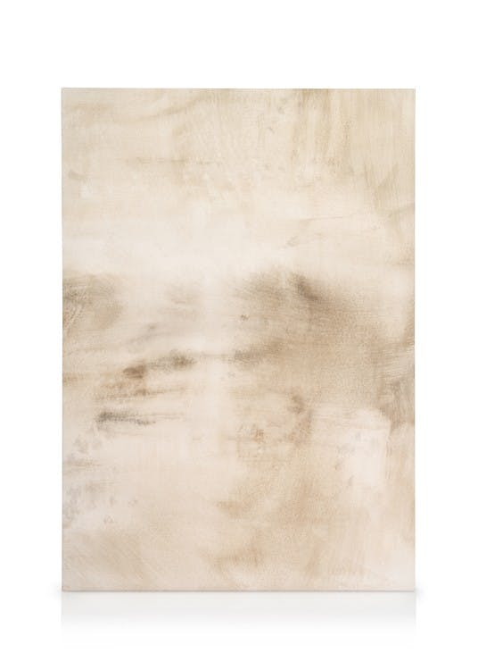 Canvas Prints Beige Abstraction No2 Canvas print (50x70 cm)