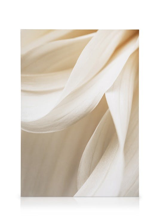 Canvas Prints Warm Flower No2 Canvas print (50x70 cm - Black Frame)