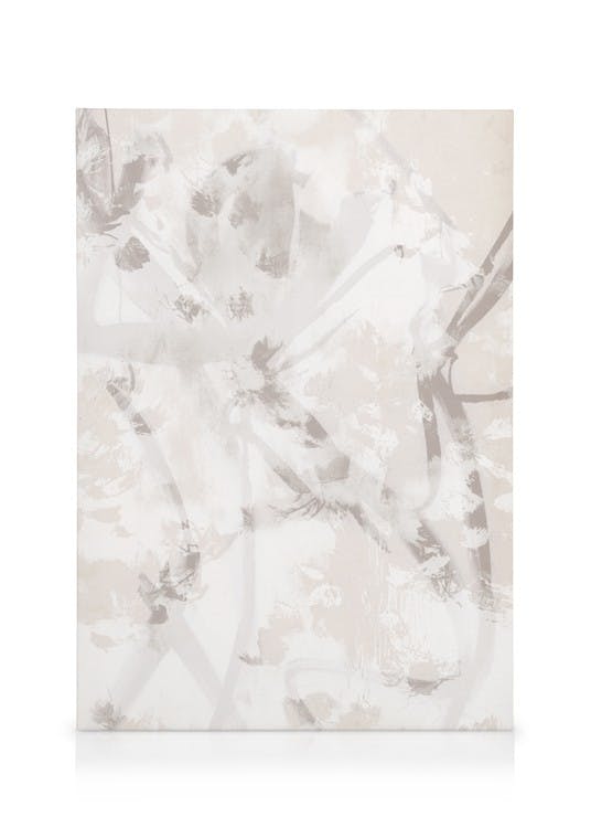 Canvas Prints Soft Abstract No1 Canvas print (50x70 cm)