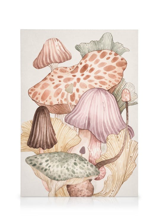 Telas decorativas Watercolor Fungi No2 Quadro em tela (50x70 cm)