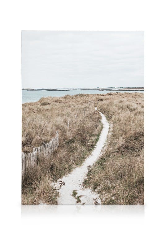 Canvas Schilderijen Pathway to the Sea Canvas (50x70 cm - Fotolijst Zwart)