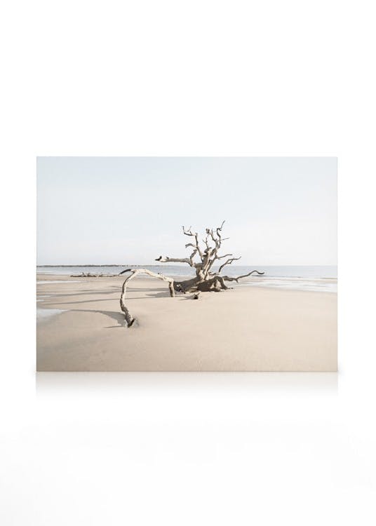 Driftwood Beach Tableau sur toile (50x70 cm - Cadre noir) - Paysages