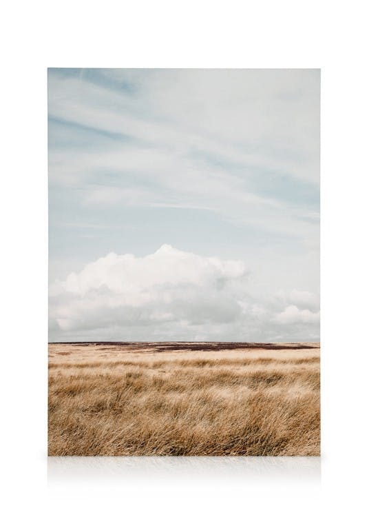 Canvas Prints Moorland Canvas print (50x70 cm - Black Frame)