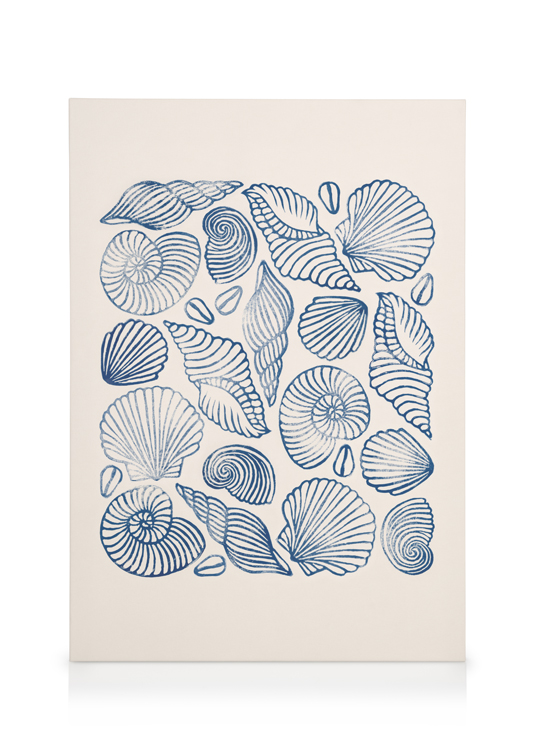 Linocut Seashells Canvas
