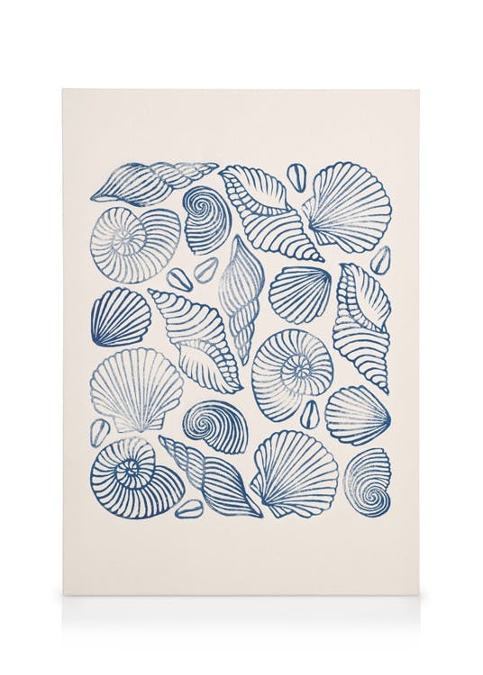 Linocut Seashells Stampa su Tela (30x40 cm - Cornice in nero)- Arte