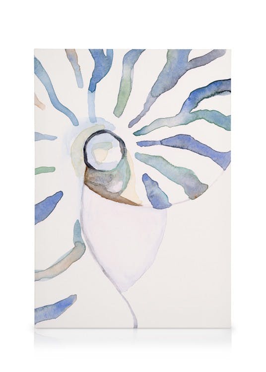 Canvas Prints Abstract Seashell Canvas print (30x40 cm - Black Frame)
