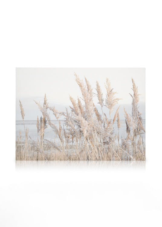 Canvas Schilderijen Reeds by the Sea Canvas (70x100 cm)