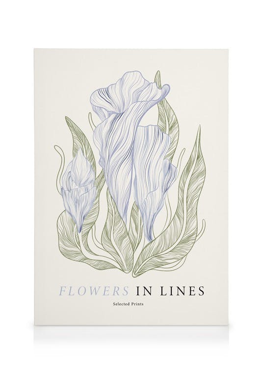 Canvas Schilderijen Flowers in Lines No1 Canvas (50x70 cm - Fotolijst Eiken)