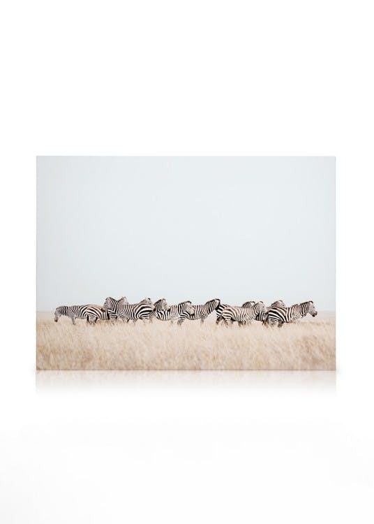 Canvas Prints Zebra Herd​ Canvas print (30x40 cm - Black Frame)