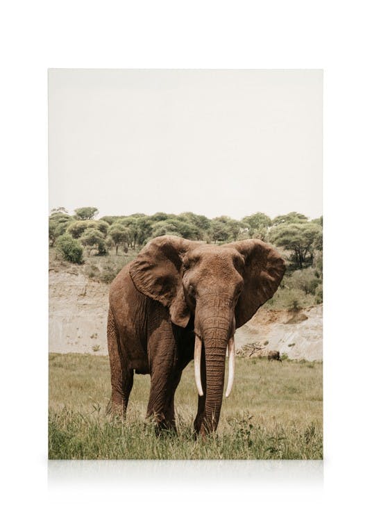 Canvas Prints Giant Steps Canvas print (50x70 cm - Black Frame)