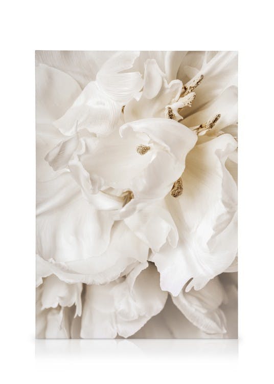 Canvas Schilderijen Dreamy Flower Close up Canvas (50x70 cm - Fotolijst Eiken)