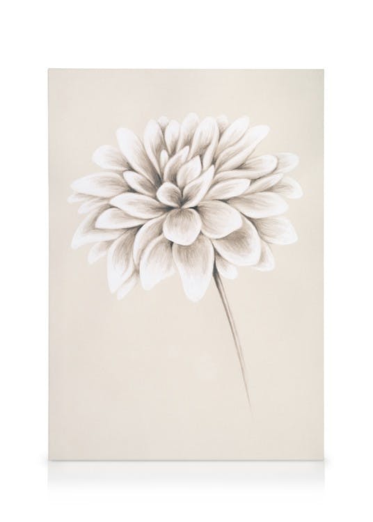 Canvas Schilderijen Painted Dahlia Canvas (30x40 cm)