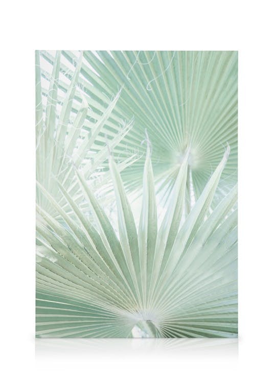 Canvas Prints Light Green Leaves Canvas print (50x70 cm)