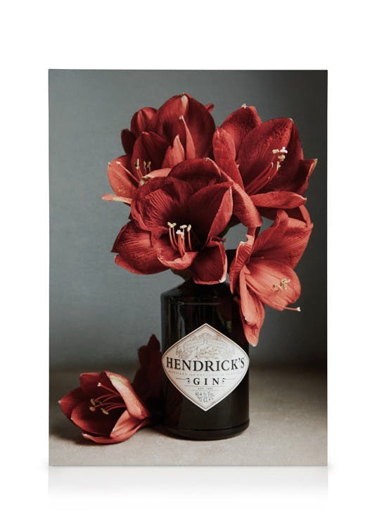 Canvas Prints Gin and Red Amaryllis Canvas print (30x40 cm)