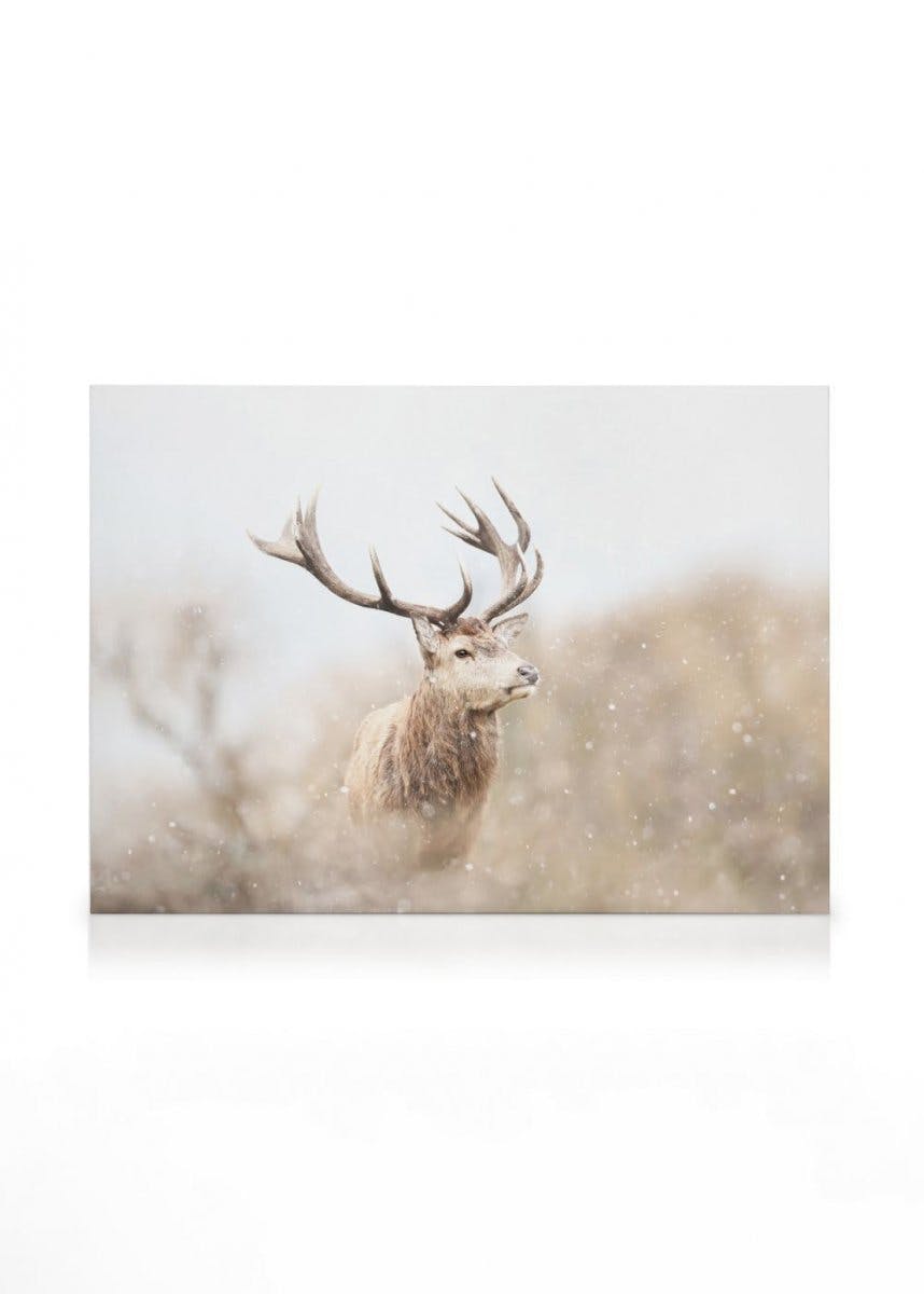 Canvas Prints Majestic Reindeer Canvas print (30x40 cm - Black Frame)