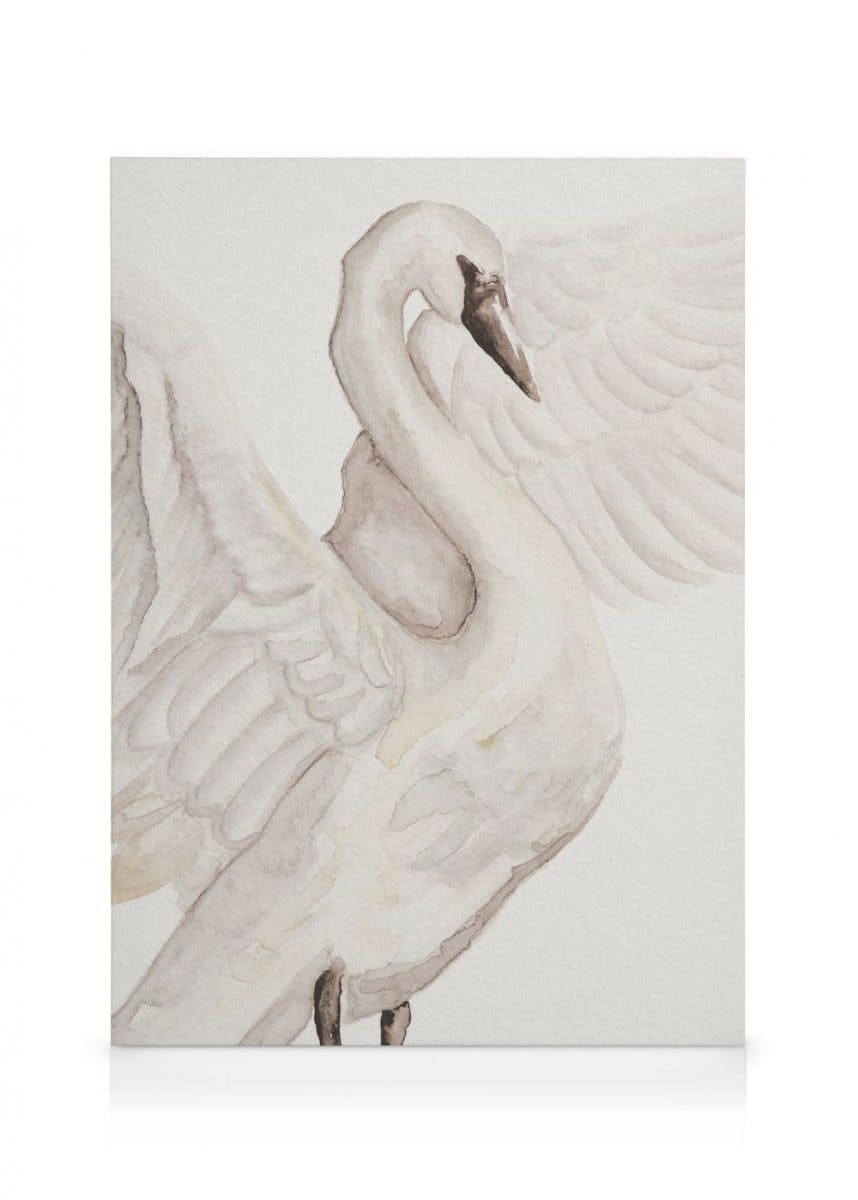 Canvas Prints Watercolor Swan Canvas print (30x40 cm)