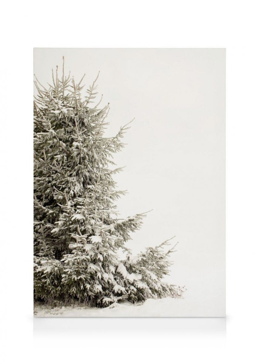 Obrazy na płótnie Snowy Holiday Tree Obraz na płótnie (30x40 cm)